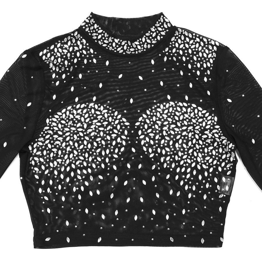 Photo Op Sheer Rhinestone Crop Top and Pants Set
