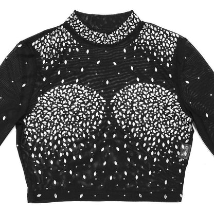 Photo Op Sheer Rhinestone Crop Top and Pants Set