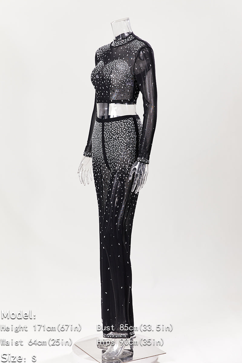 Photo Op Sheer Rhinestone Crop Top and Pants Set