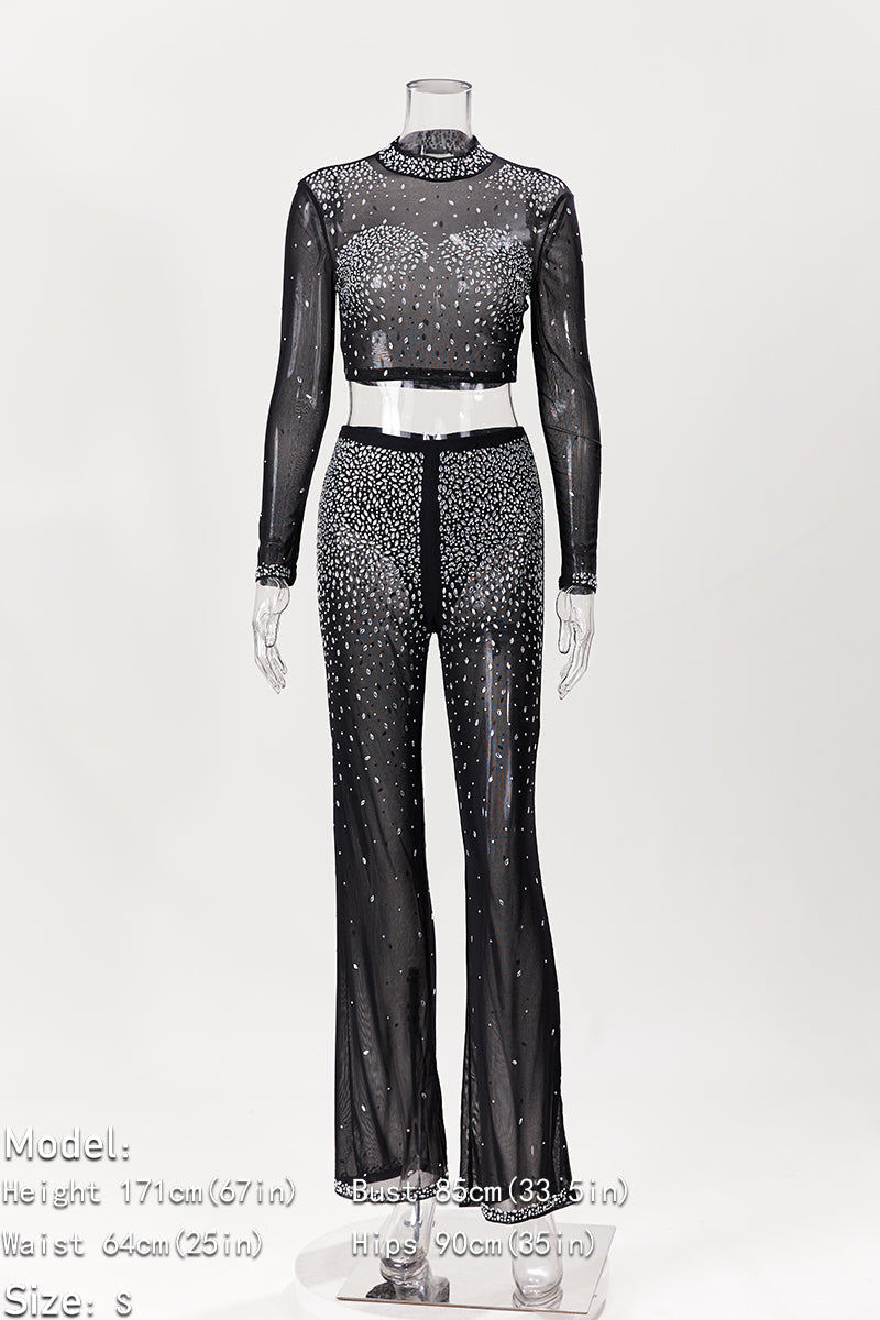 Photo Op Sheer Rhinestone Crop Top and Pants Set