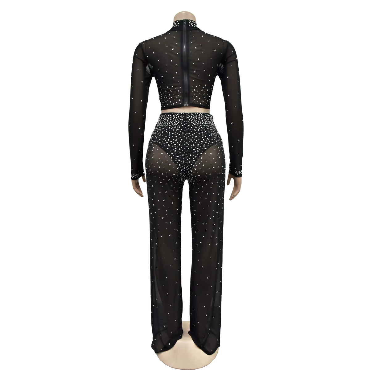 Photo Op Sheer Rhinestone Crop Top and Pants Set