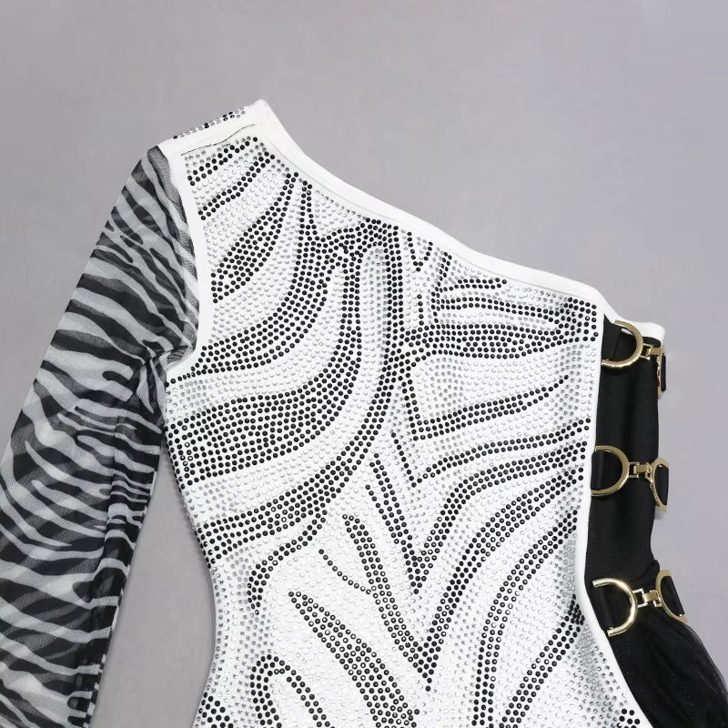 Rhinestone Zebra Print Mesh Mini Dress